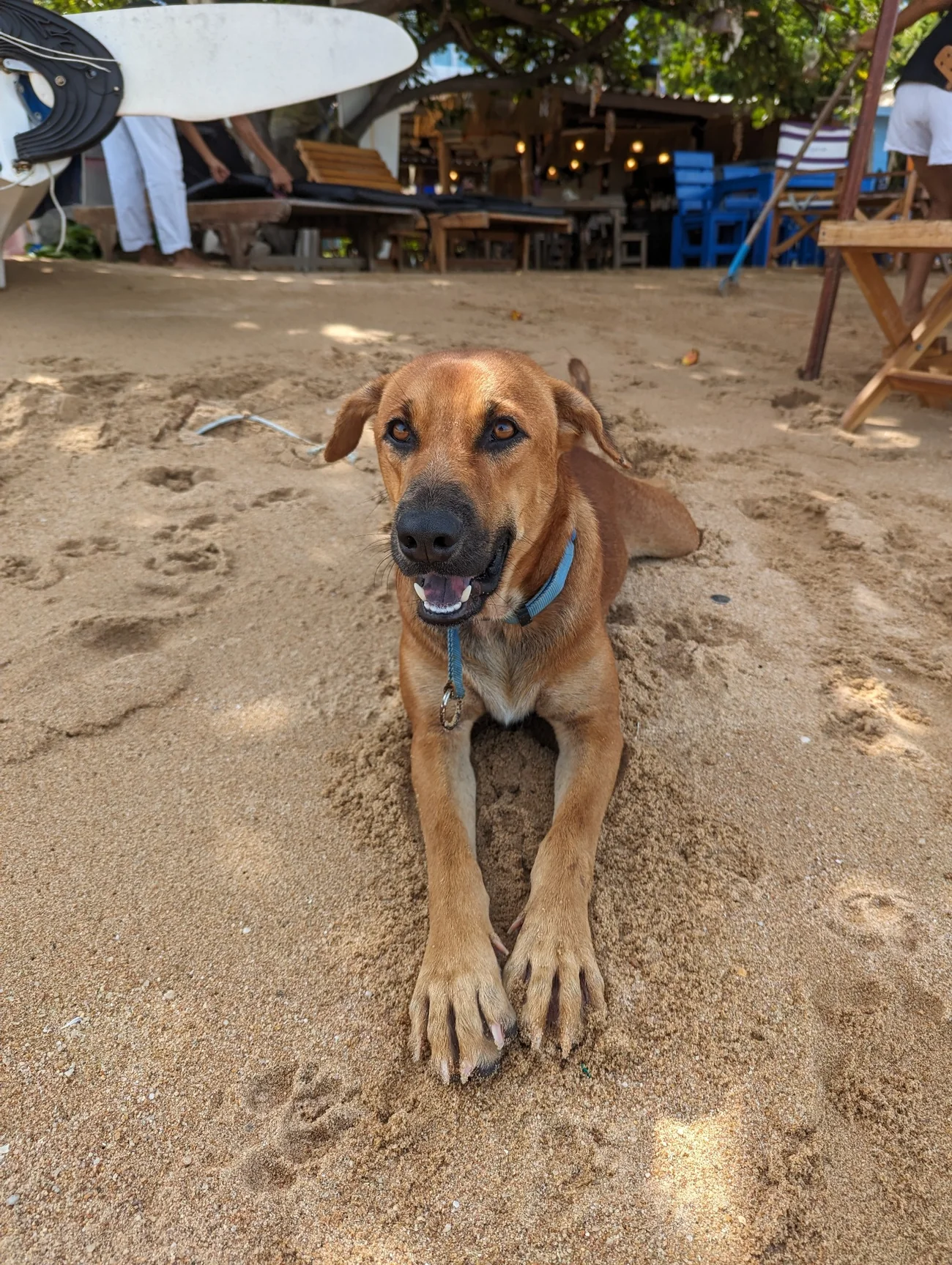 Otto